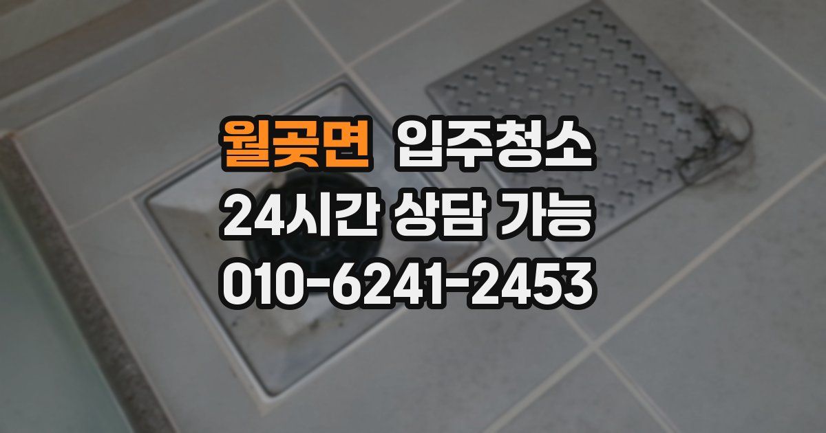 월곶면 입주청소