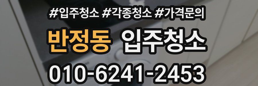 반정동 이사청소