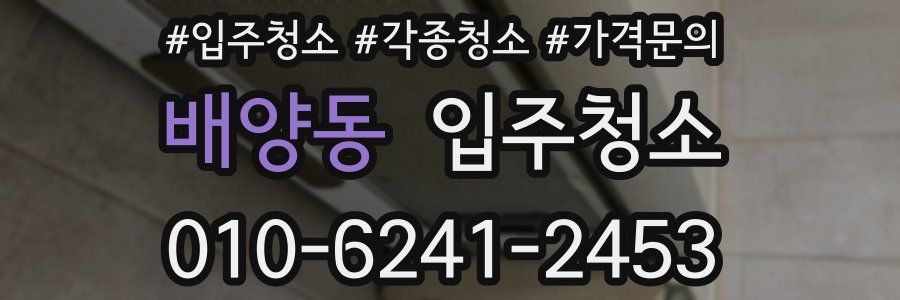 배양동 이사청소