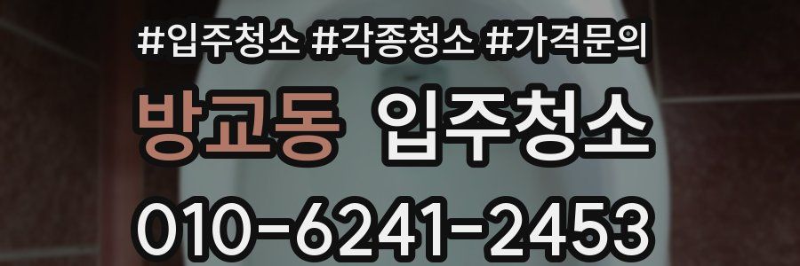 방교동 이사청소