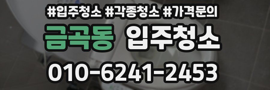 금곡동 이사청소