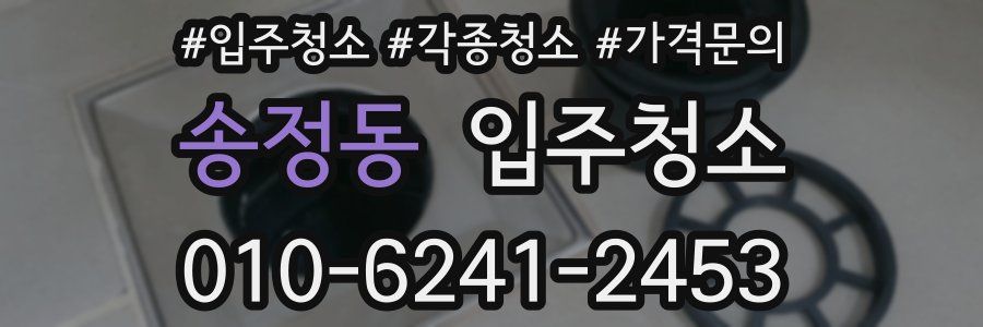 송정동 이사청소