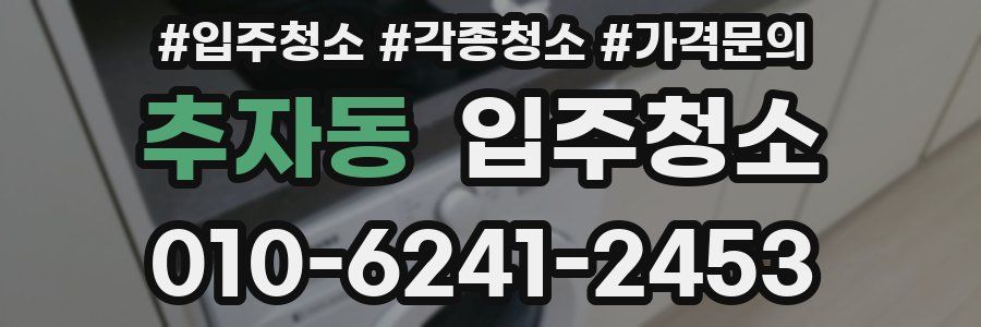 추자동 이사청소