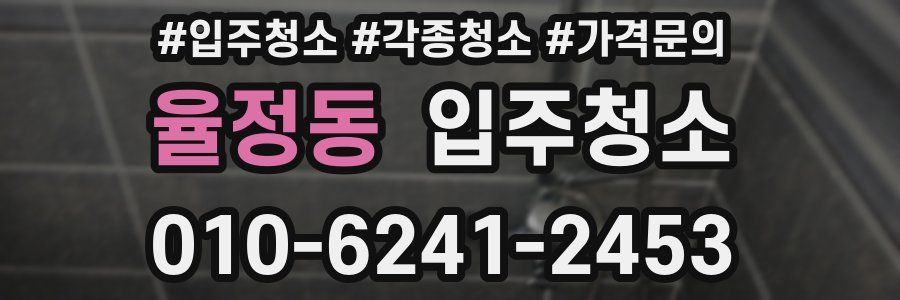 율정동 이사청소