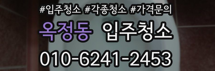 옥정동 이사청소