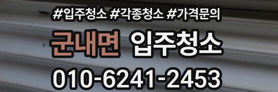 군내면 이사청소