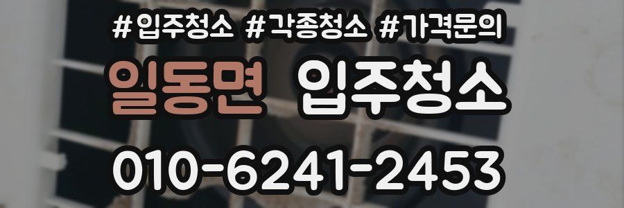 일동면 이사청소