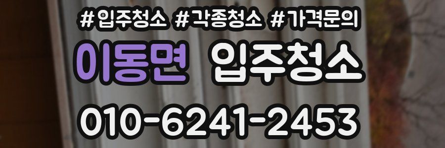 이동면 이사청소