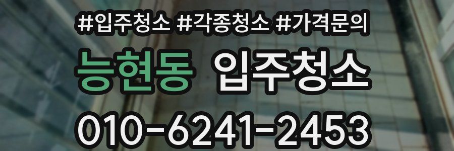 능현동 이사청소