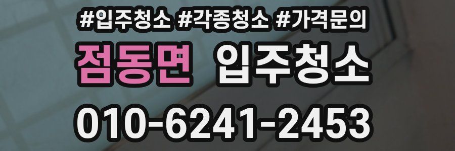 점동면 이사청소