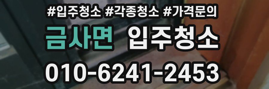 금사면 이사청소