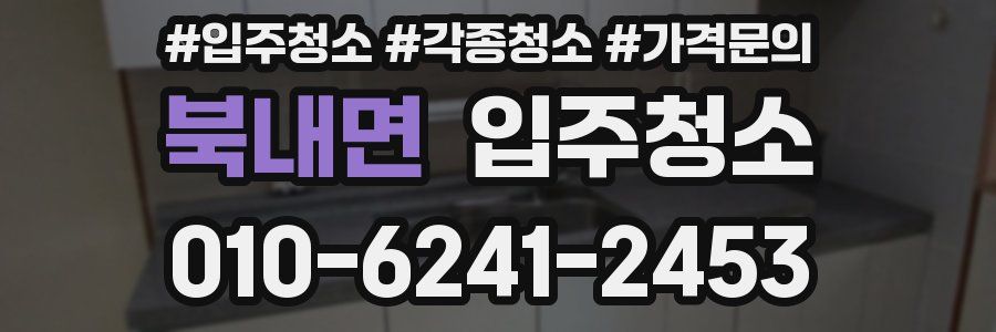 북내면 이사청소