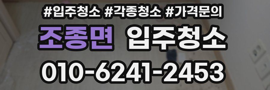 조종면 이사청소