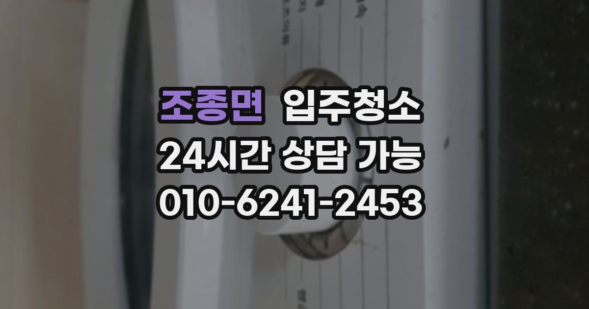 조종면 입주청소