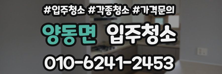 양동면 이사청소