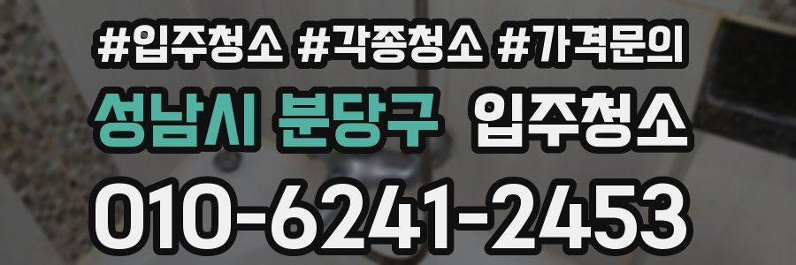 성남시 분당구 이사청소