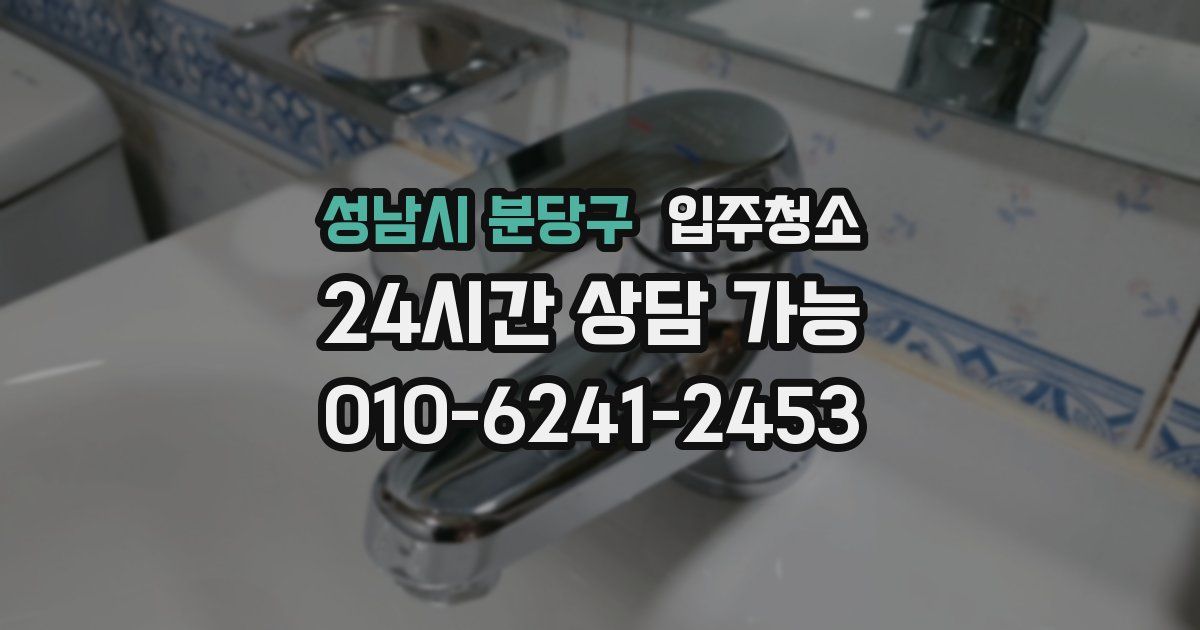 성남시 분당구 입주청소