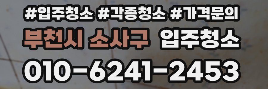 부천시 소사구 이사청소