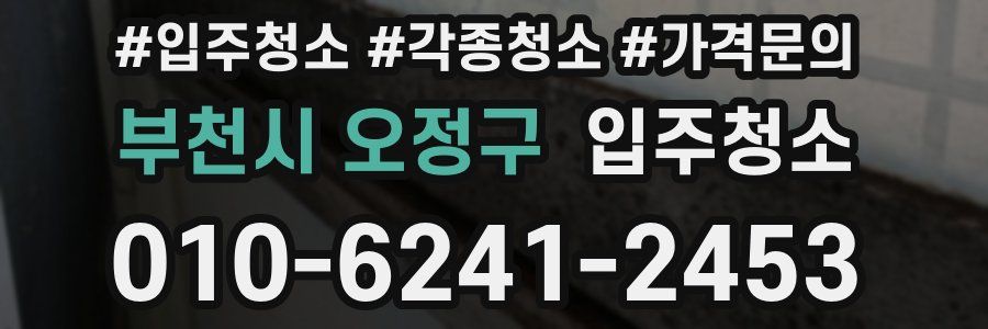 부천시 오정구 이사청소