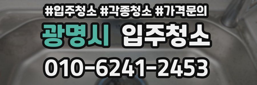 광명시 이사청소