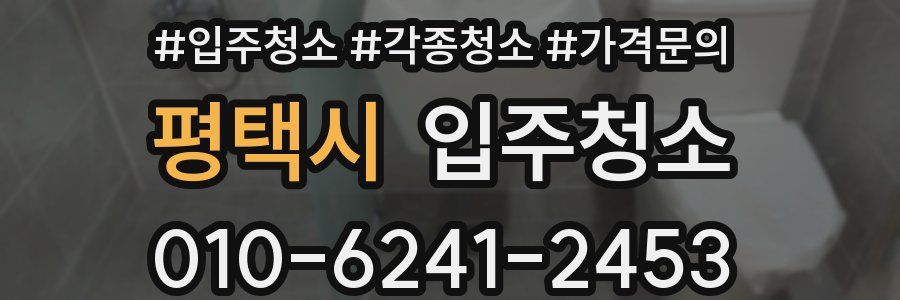 평택시 이사청소