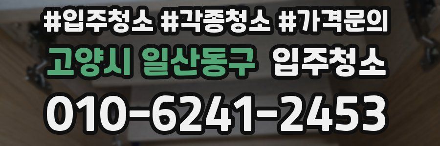 고양시 일산동구 이사청소