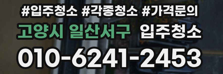 고양시 일산서구 이사청소