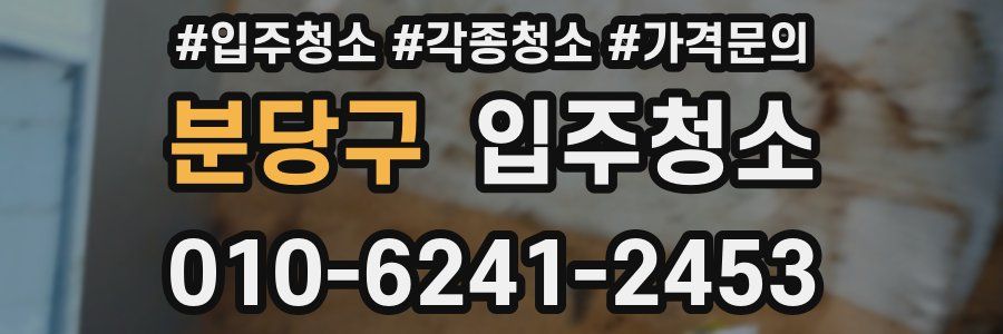 분당구 이사청소