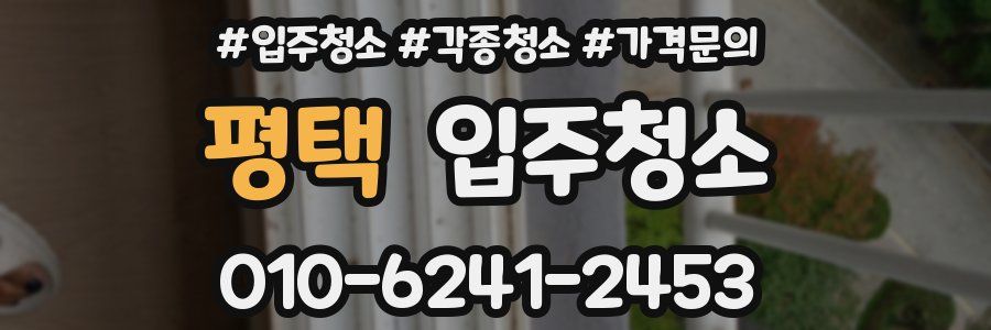 평택 이사청소