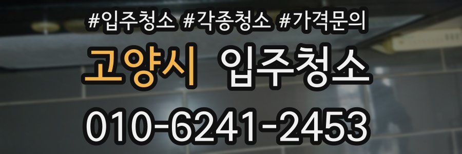 고양시 이사청소