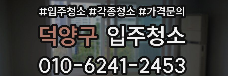 덕양구 이사청소