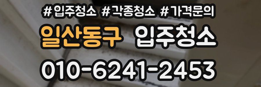 일산동구 이사청소