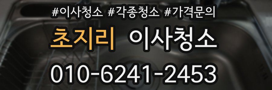 초지리 이사청소