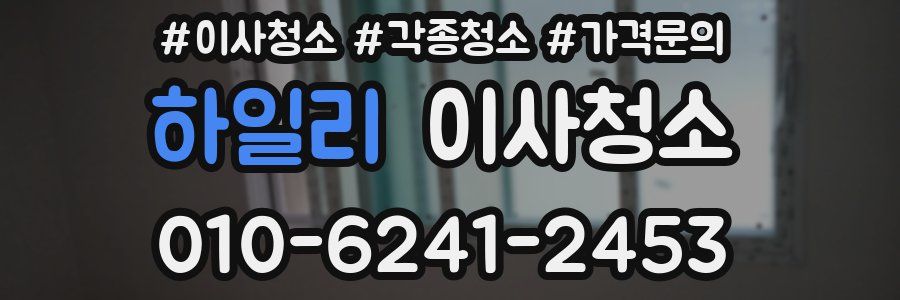 하일리 이사청소