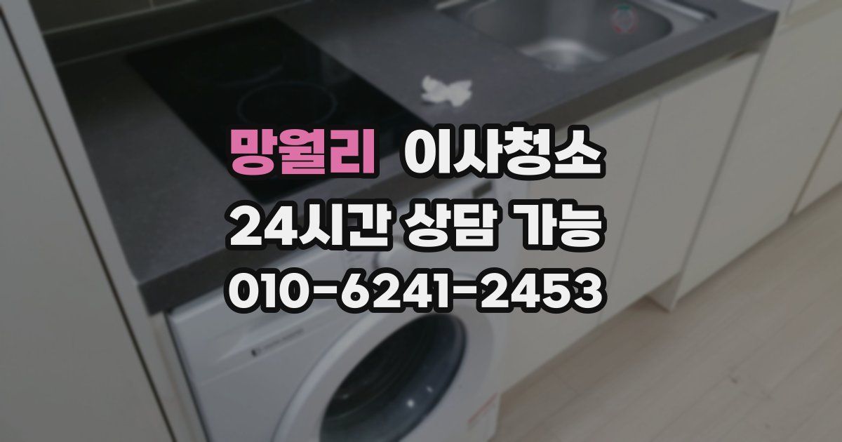 망월리 입주청소