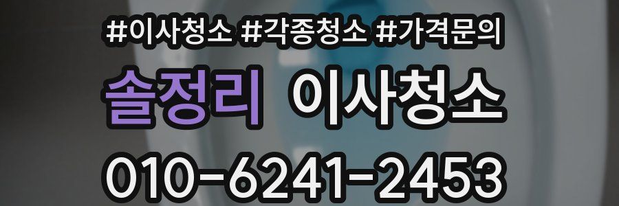 솔정리 이사청소