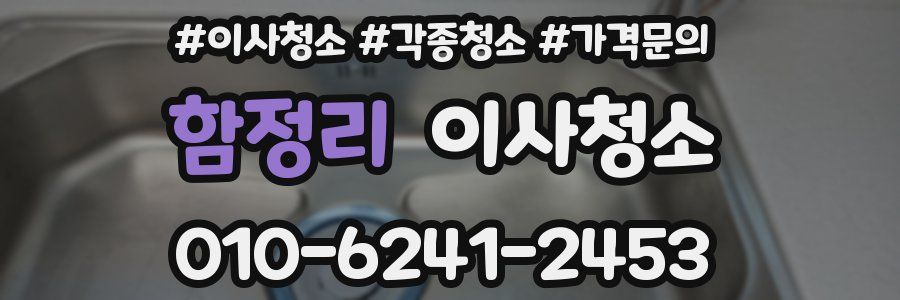 함정리 이사청소