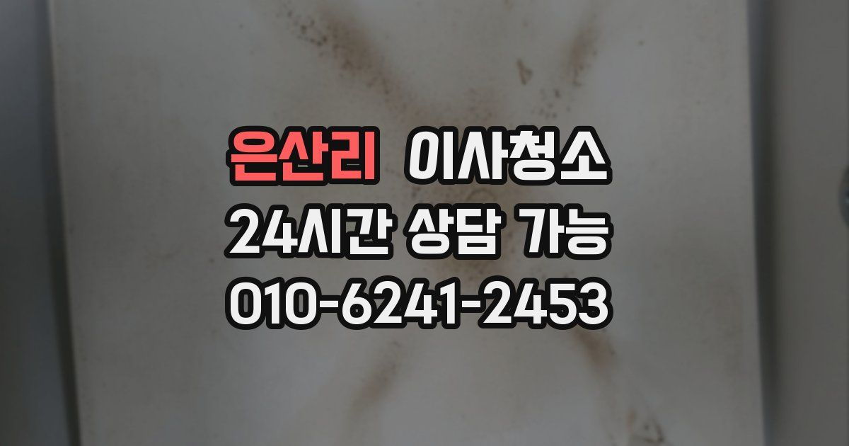 은산리 입주청소
