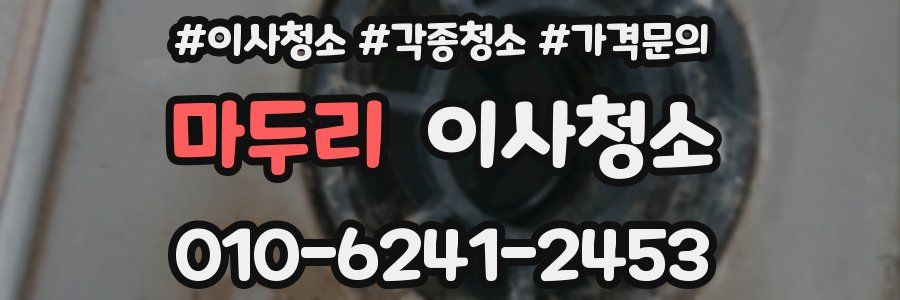 마두리 이사청소