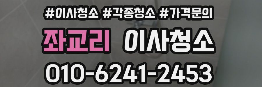 좌교리 이사청소