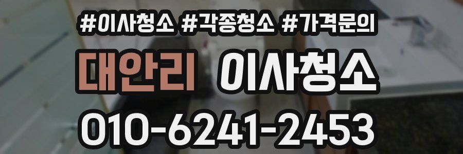 대안리 이사청소