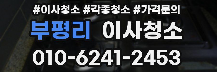 부평리 이사청소