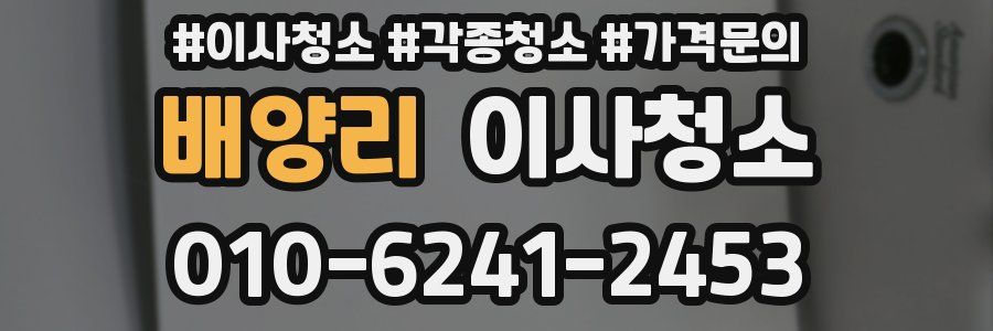 배양리 이사청소