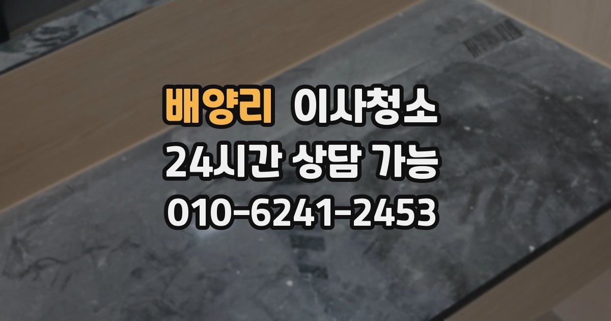 배양리 입주청소