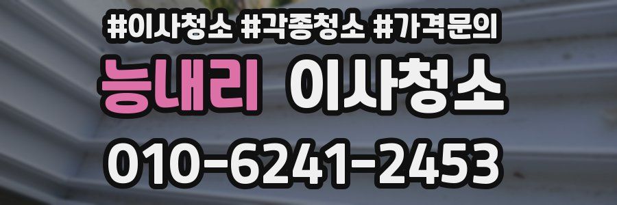 능내리 이사청소