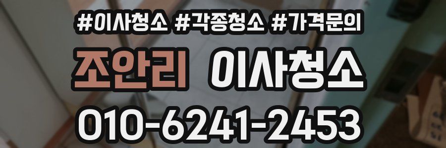 조안리 이사청소