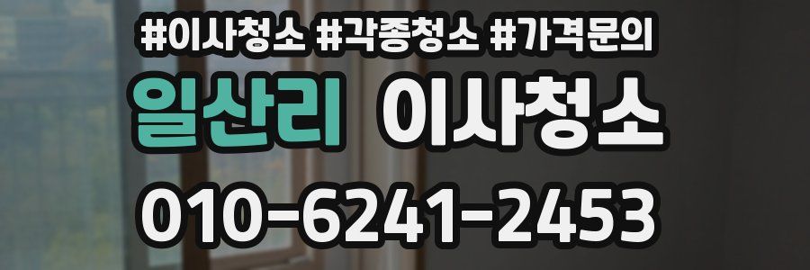 일산리 이사청소