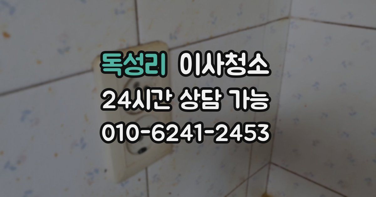 독성리 입주청소