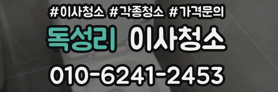 독성리 이사청소