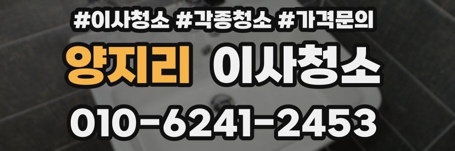 양지리 이사청소